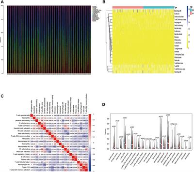 HSPB8 is a Potential Prognostic Biomarker that Correlates With Immune Cell Infiltration in Bladder Cancer